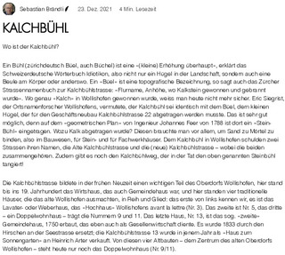 Wollipedia_20211223_Kalchbühl.pdf.jpg